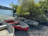 IMG 2963